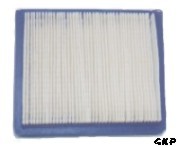 Briggs Air Filter