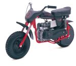 Thunderbird Mini Bike .. More info